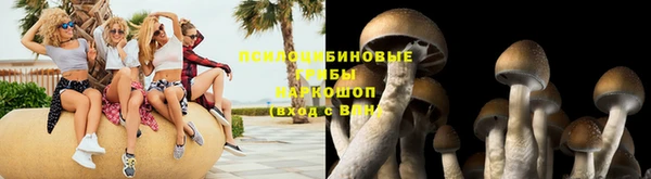 скорость Козельск