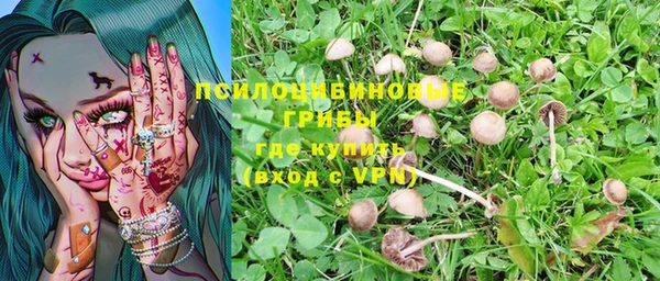 ALPHA PVP Калининец